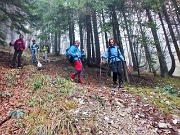 97 Giù per la pineta su un tappeto di foglie bagnate...con attenzione! 